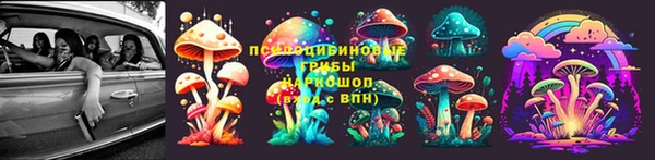 эйфоретик Нея
