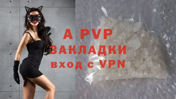 эйфоретик Нея