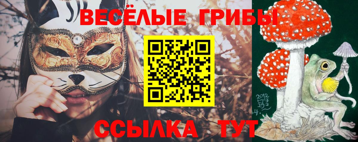 Галлюциногенные грибы прущие грибы  Псилоцибиновые грибы GOLDEN TEACHER  Шебекино  Вход с VPN 